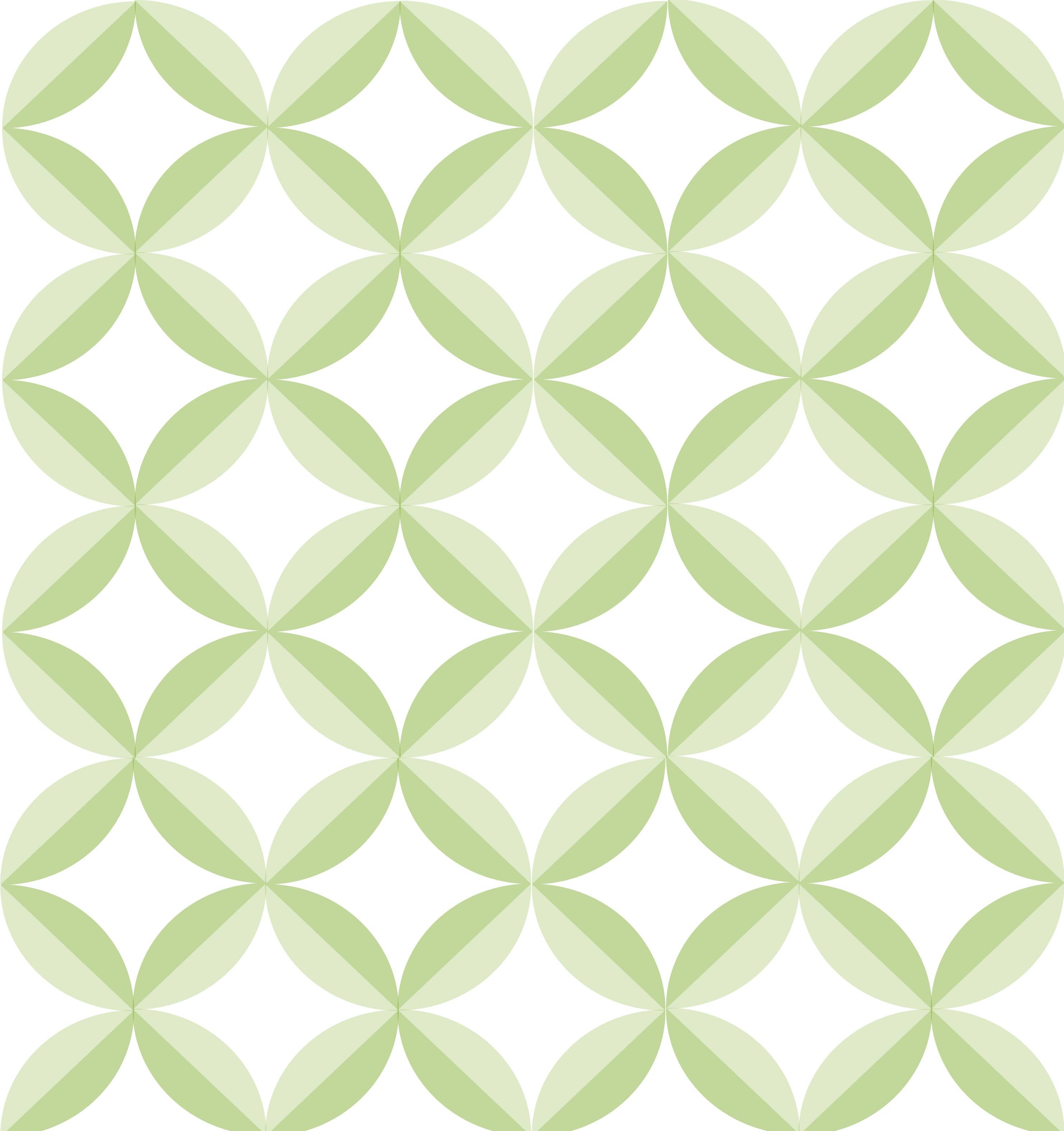 Immagine della galleria 2